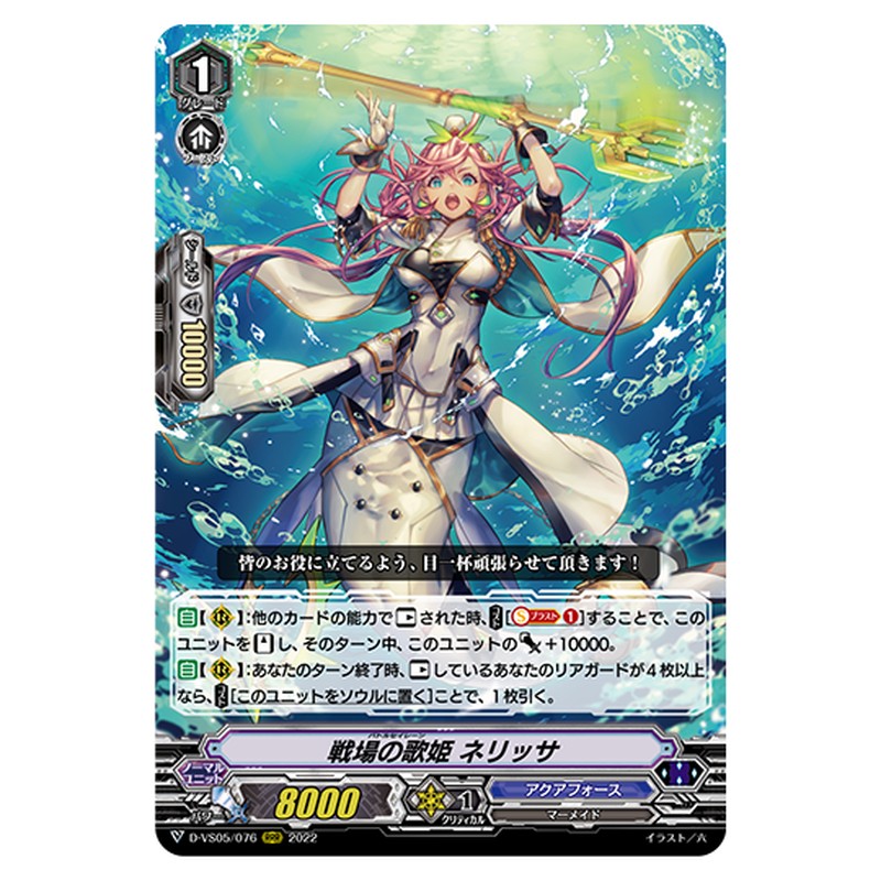 D-VS05/076