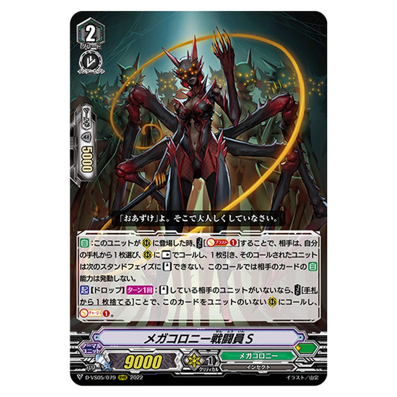 D-VS05/079