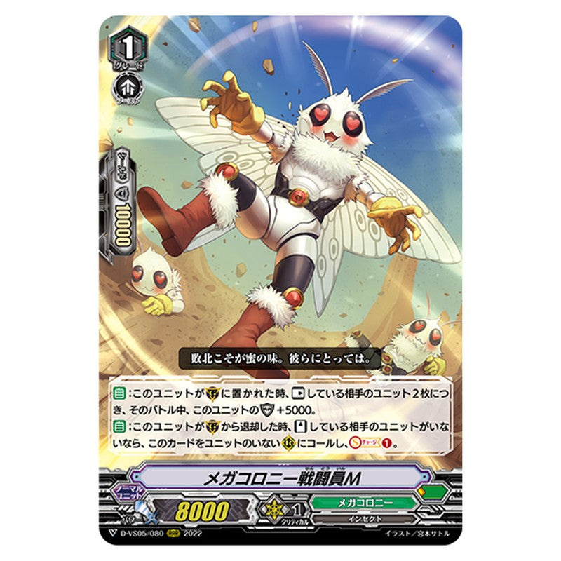 D-VS05/080