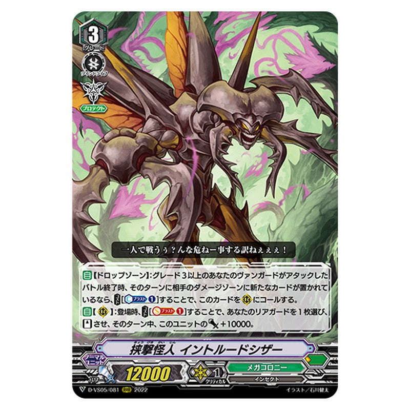 D-VS05/081