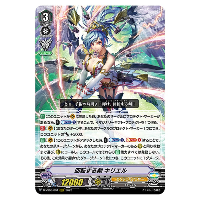 D-VS06/001