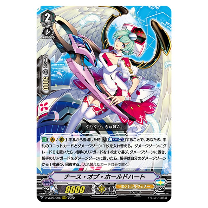 D-VS06/005