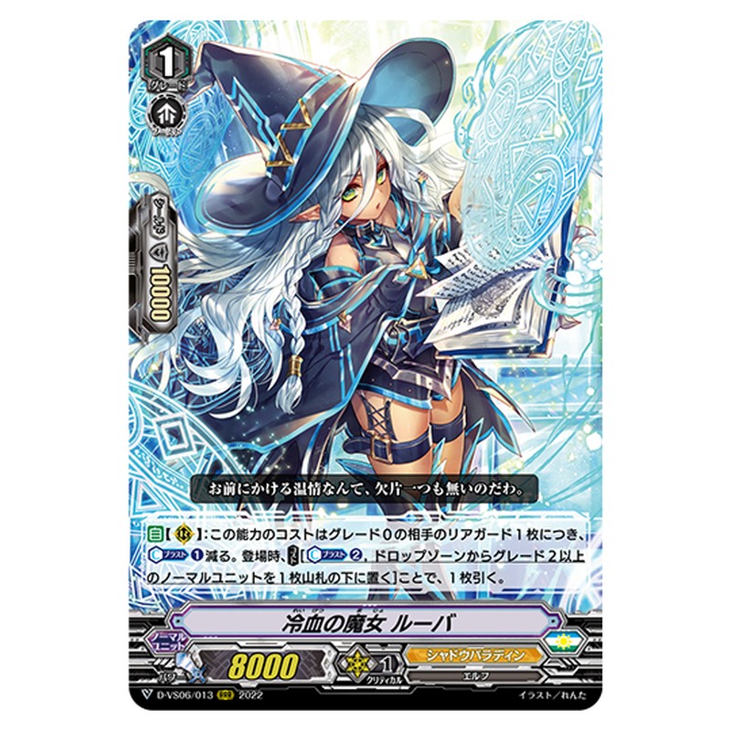 D-VS06/013