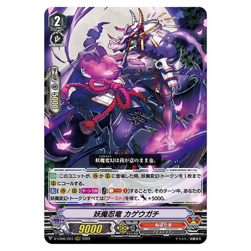 D-VS06/023