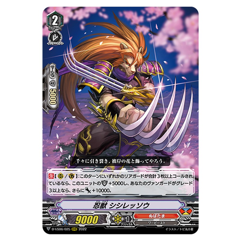 D-VS06/025