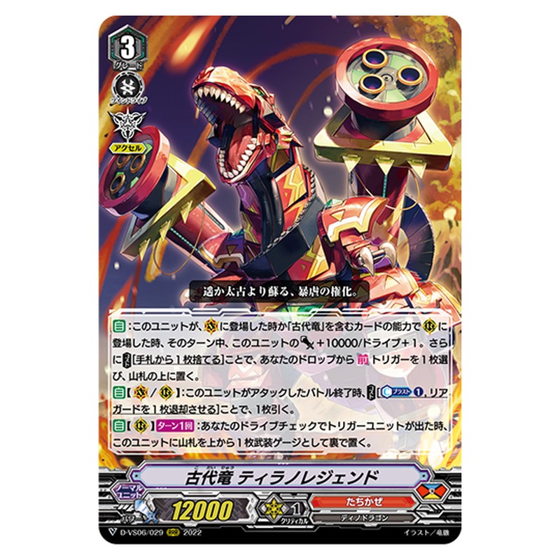 D-VS06/029