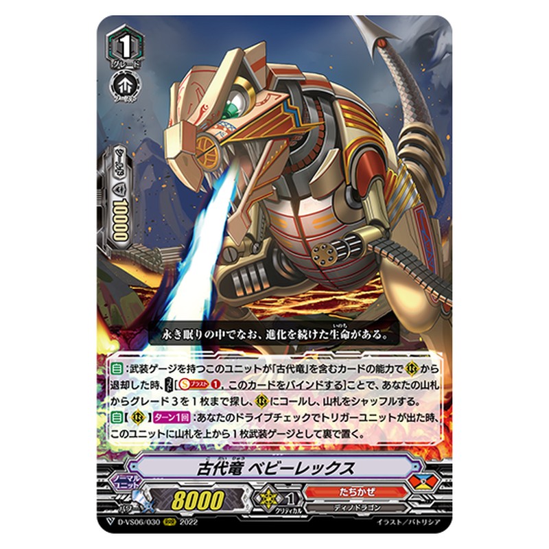 D-VS06/030