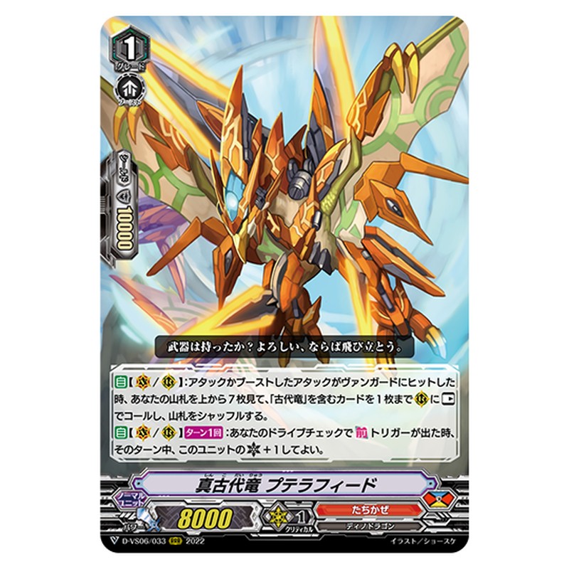 D-VS06/033