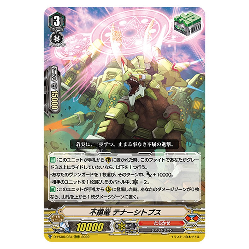 D-VS06/034