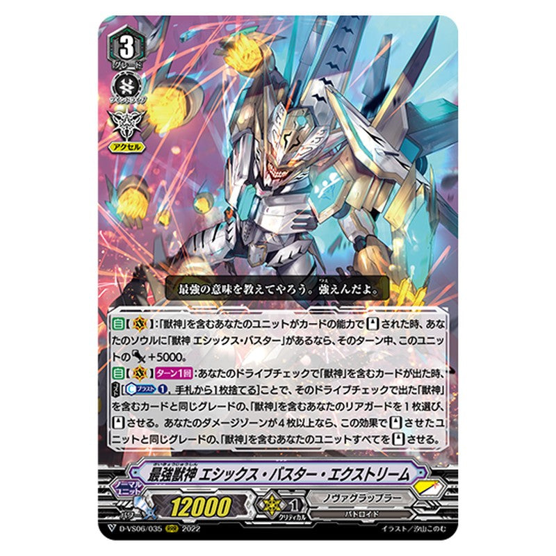 D-VS06/035