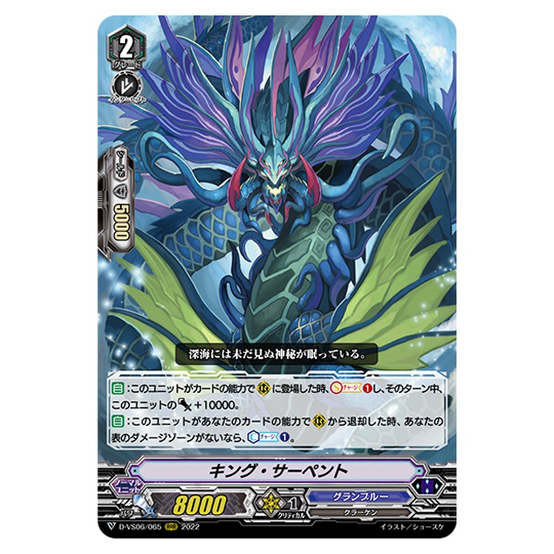 D-VS06/065