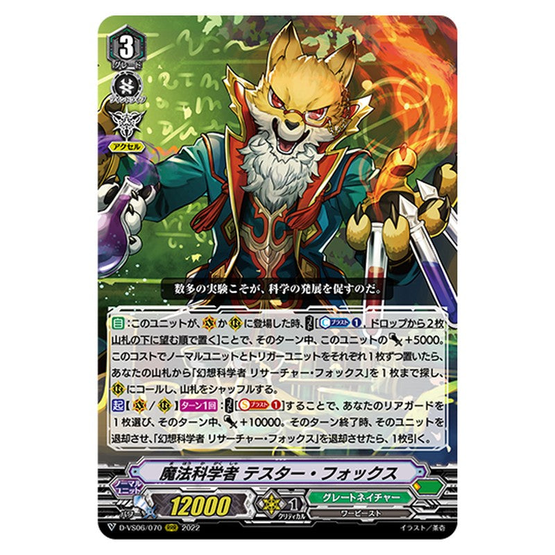 D-VS06/070