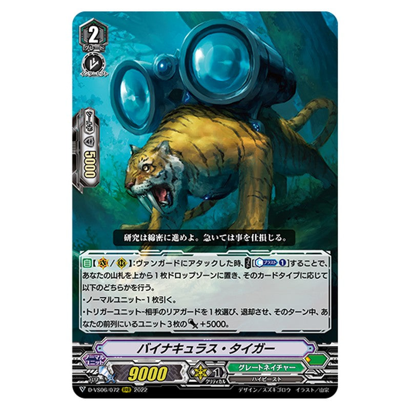 D-VS06/072