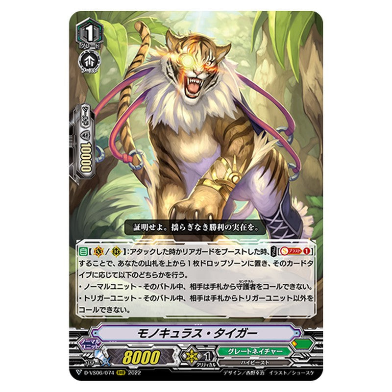 D-VS06/074