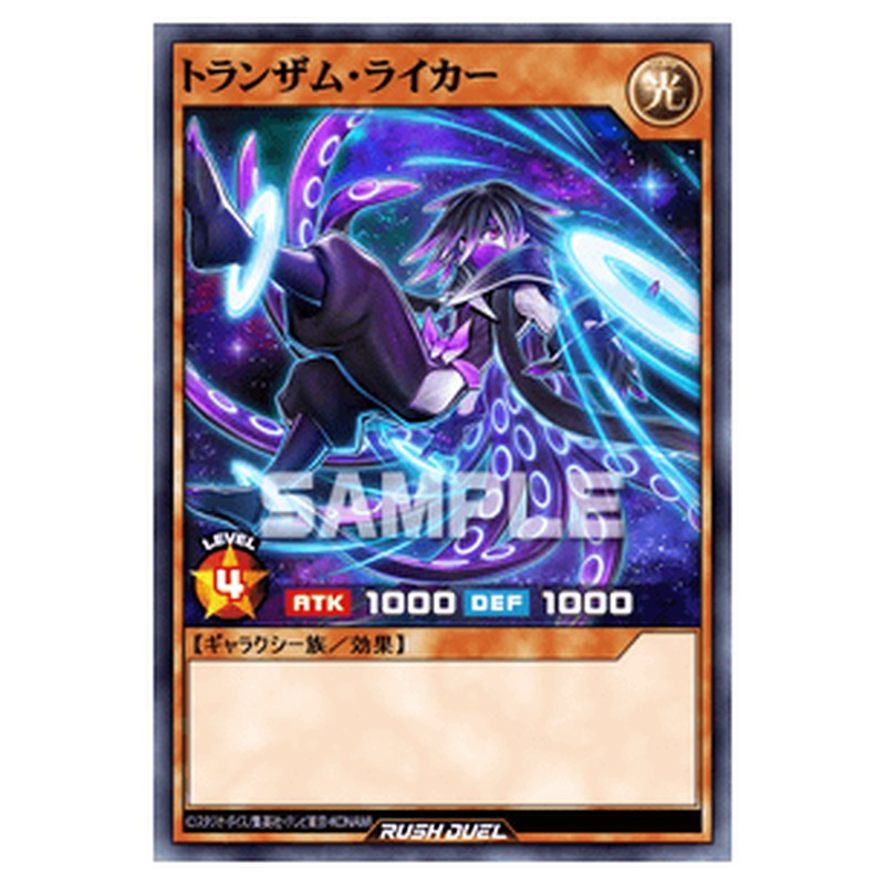 RD/SJMP-JP024