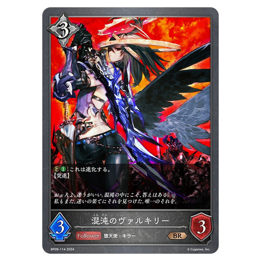 混沌のヴァルキリー