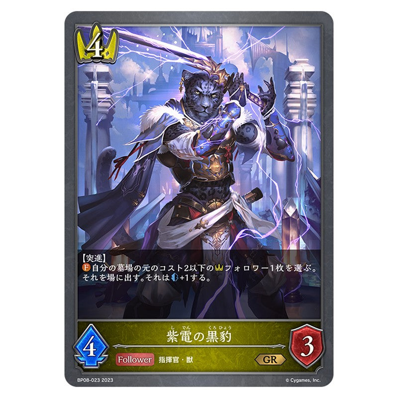 紫電の黒豹