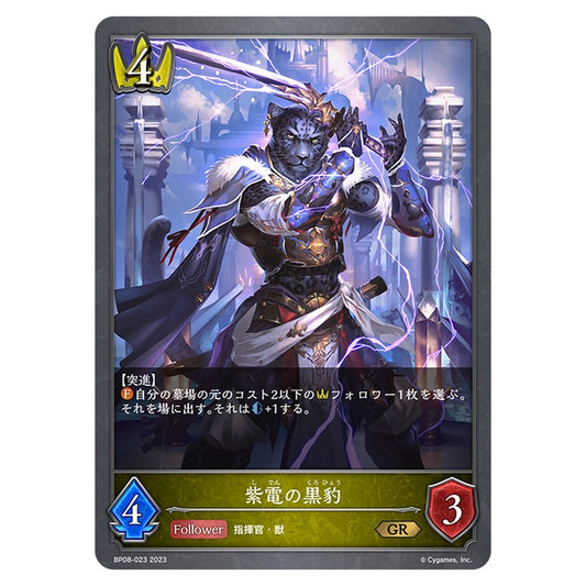 紫電の黒豹