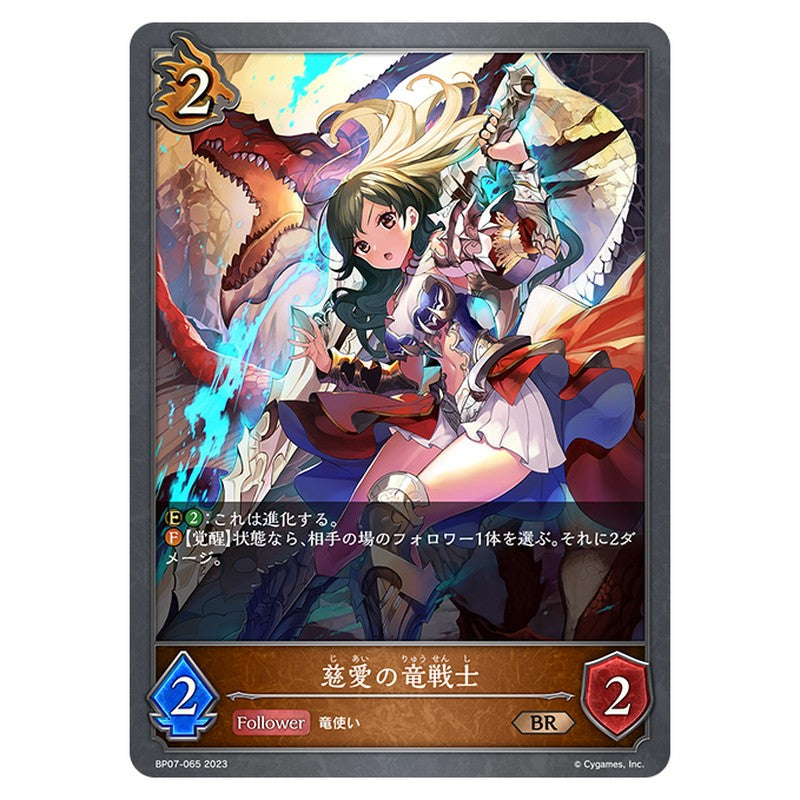 慈愛の竜戦士