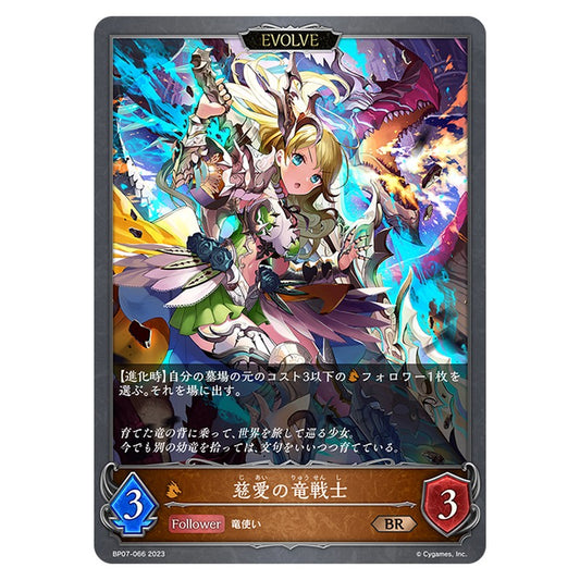慈愛の竜戦士