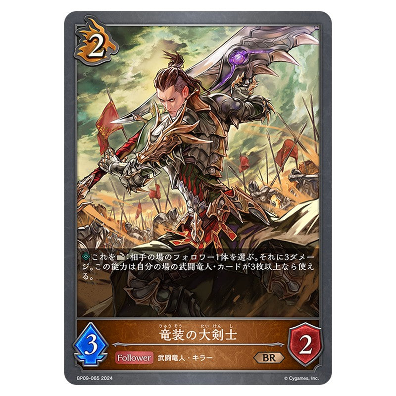 竜装の大剣士