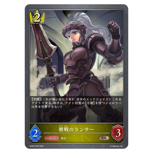 歴戦のランサー