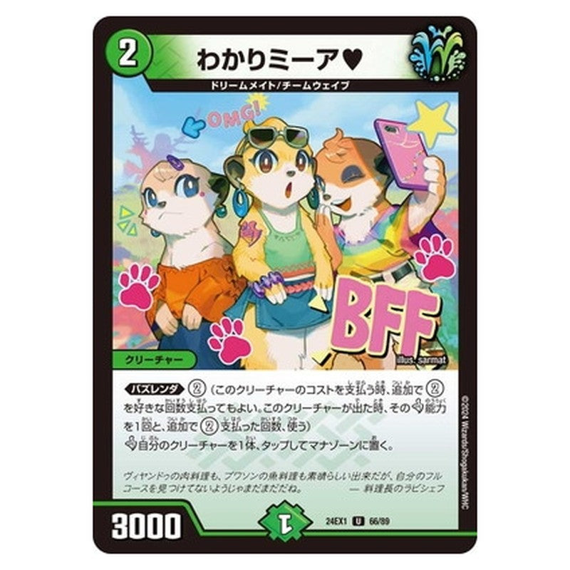 わかりミーア?