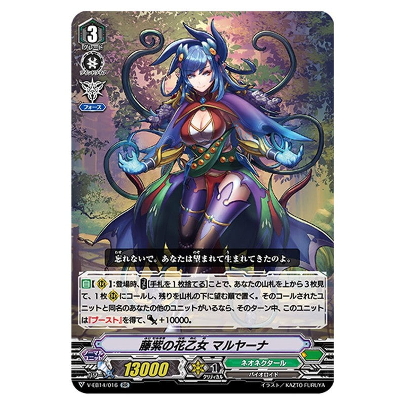 藤紫の花乙女 マルヤーナ
