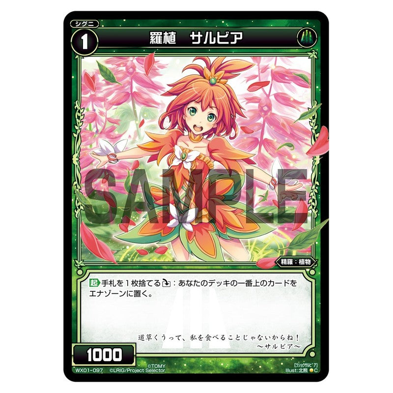 羅植　サルビア
