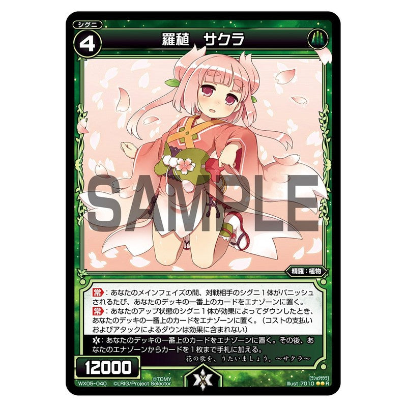 羅植　サクラ