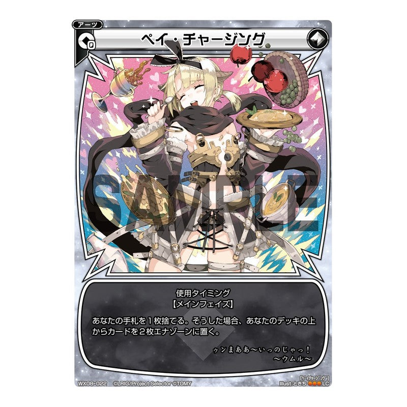 ペイ・チャージング