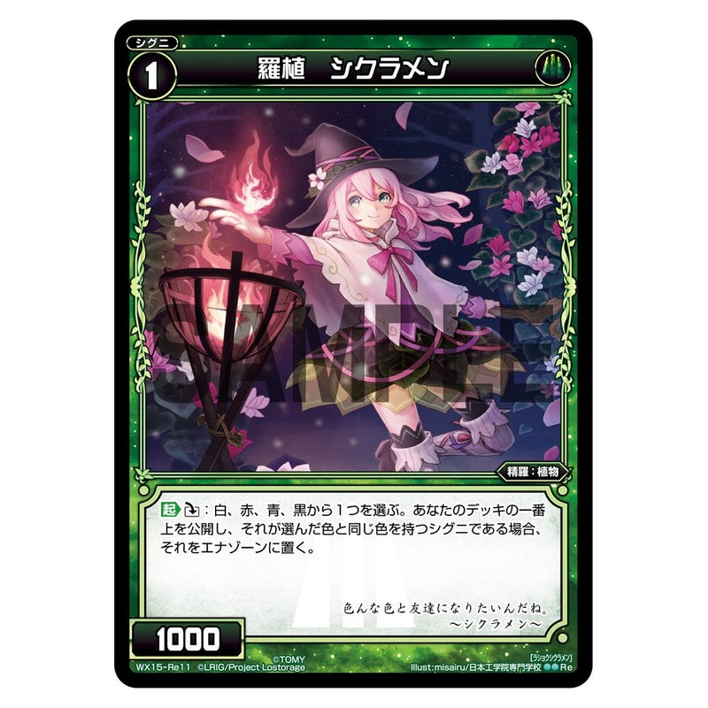 羅植　シクラメン