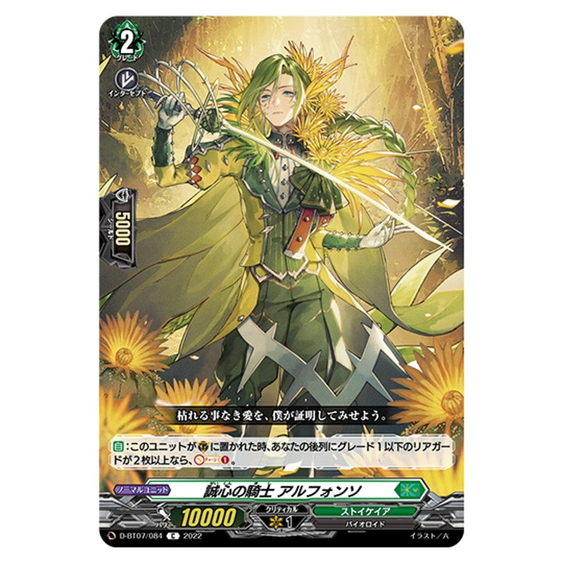 誠心の騎士 アルフォンソ