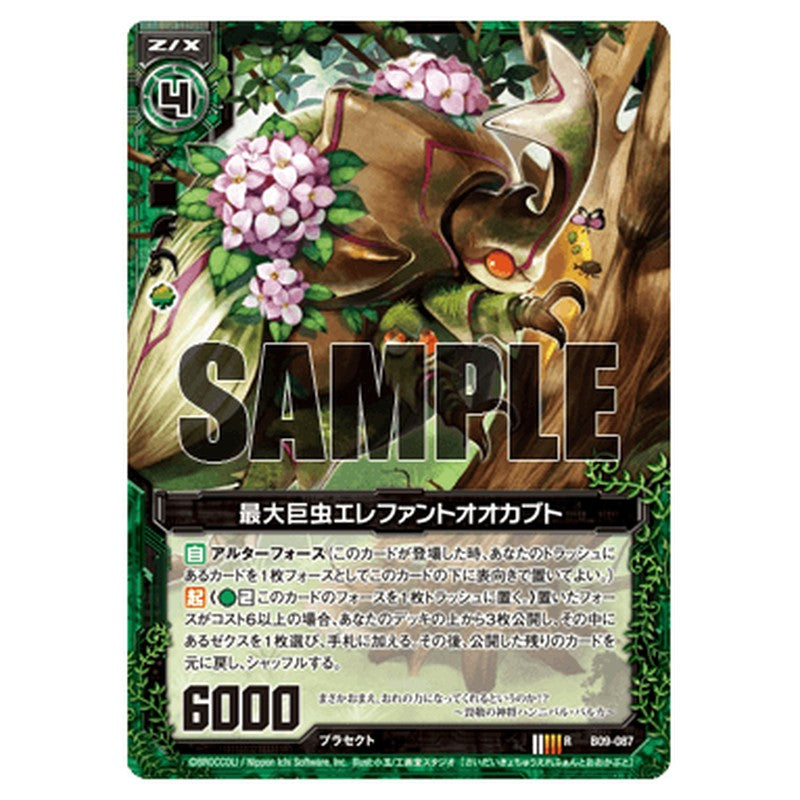 最大巨虫エレファントオオカブト
