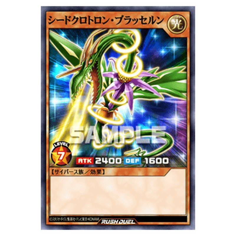 シードクロトロン・ブラッセルン