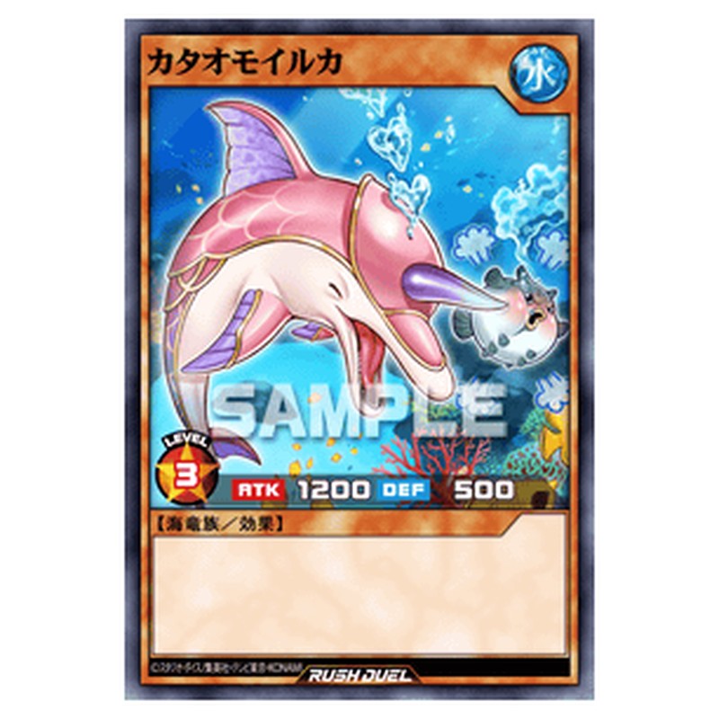 カタオモイルカ