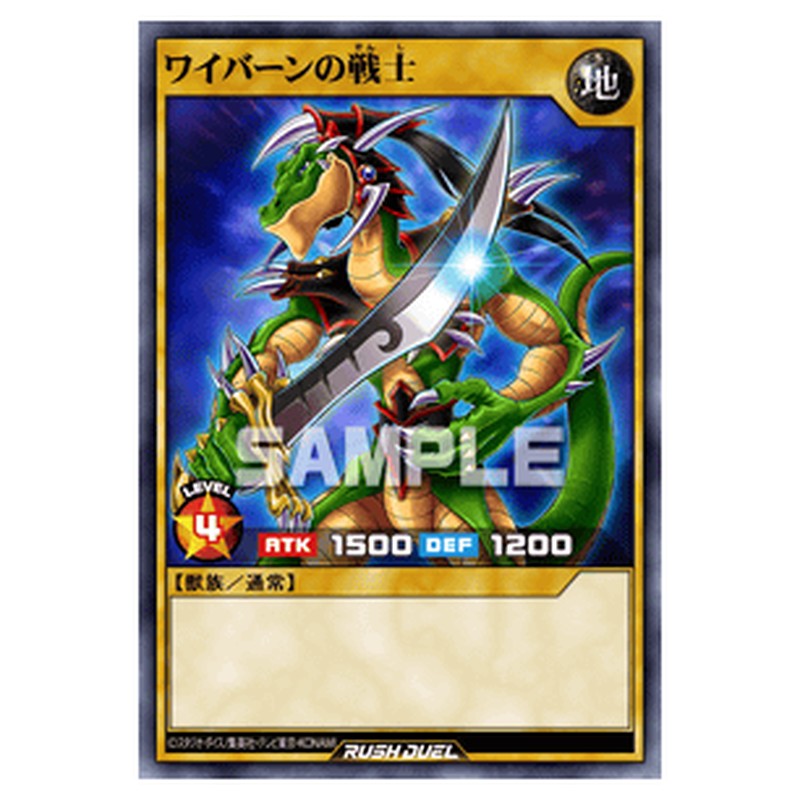 ワイバーンの戦士