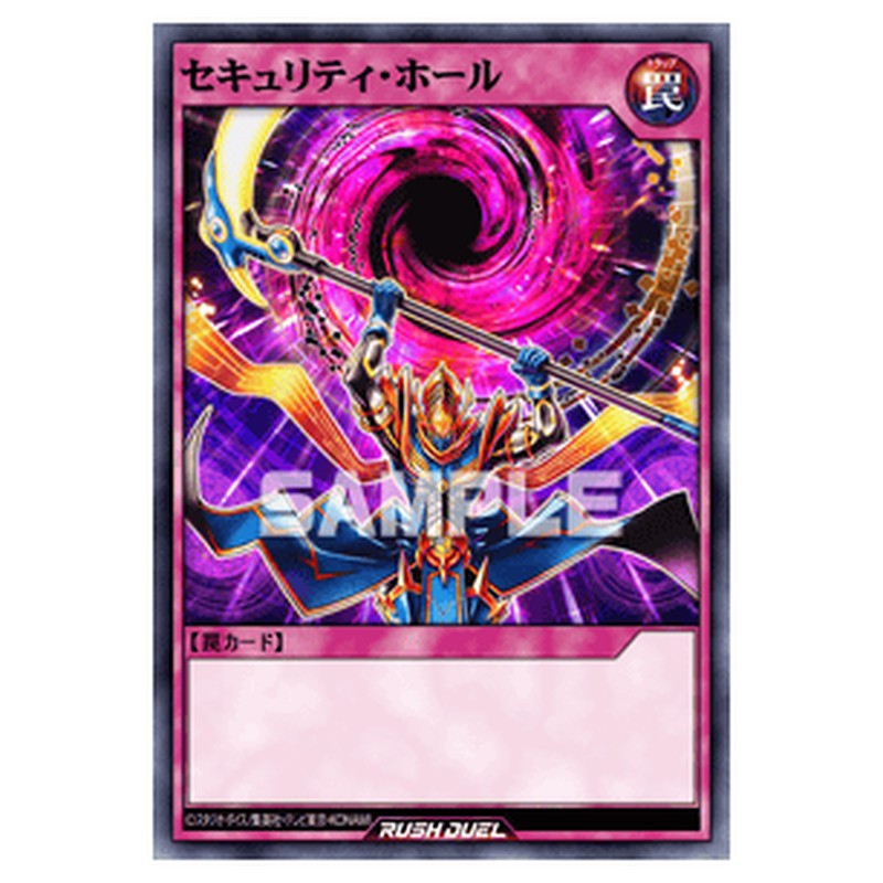 セキュリティ・ホール