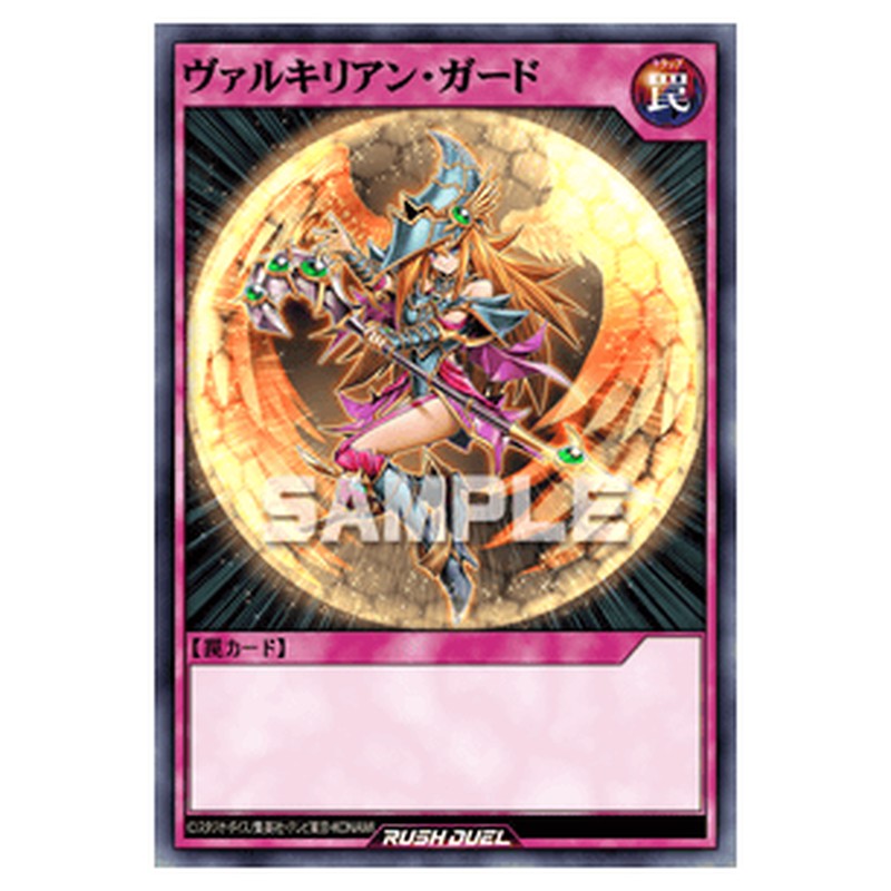 ヴァルキリアン・ガード