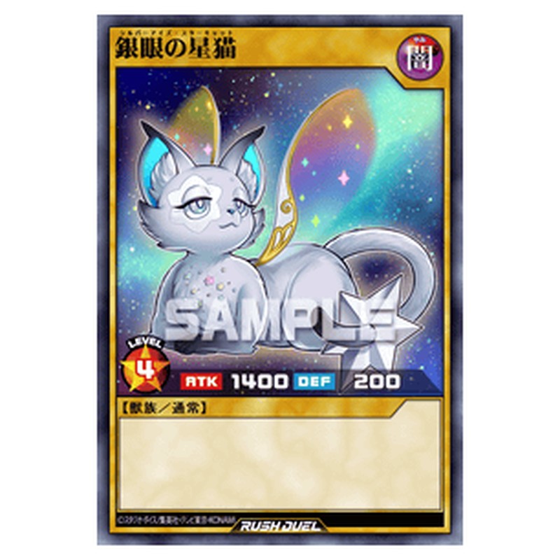 銀眼の星猫
