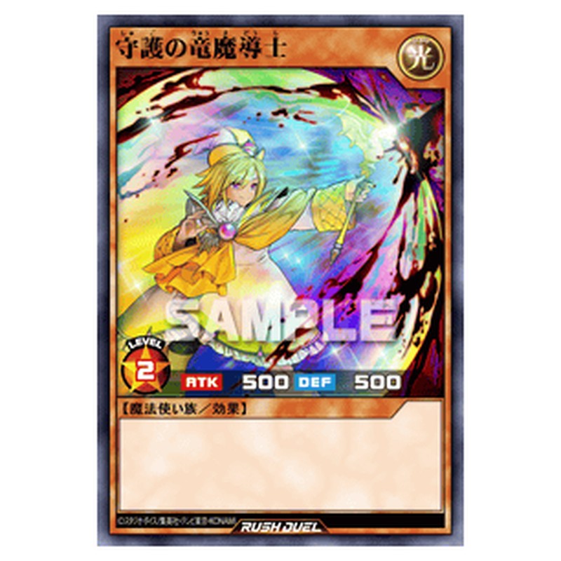 守護の竜魔導士