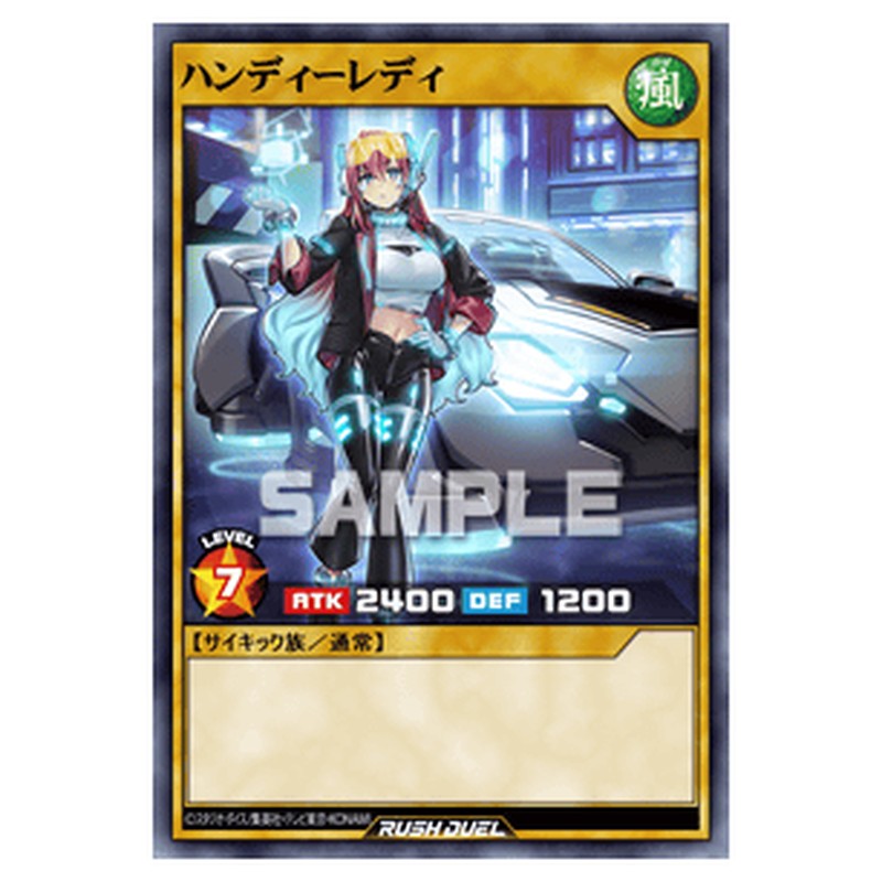 ハンディーレディ