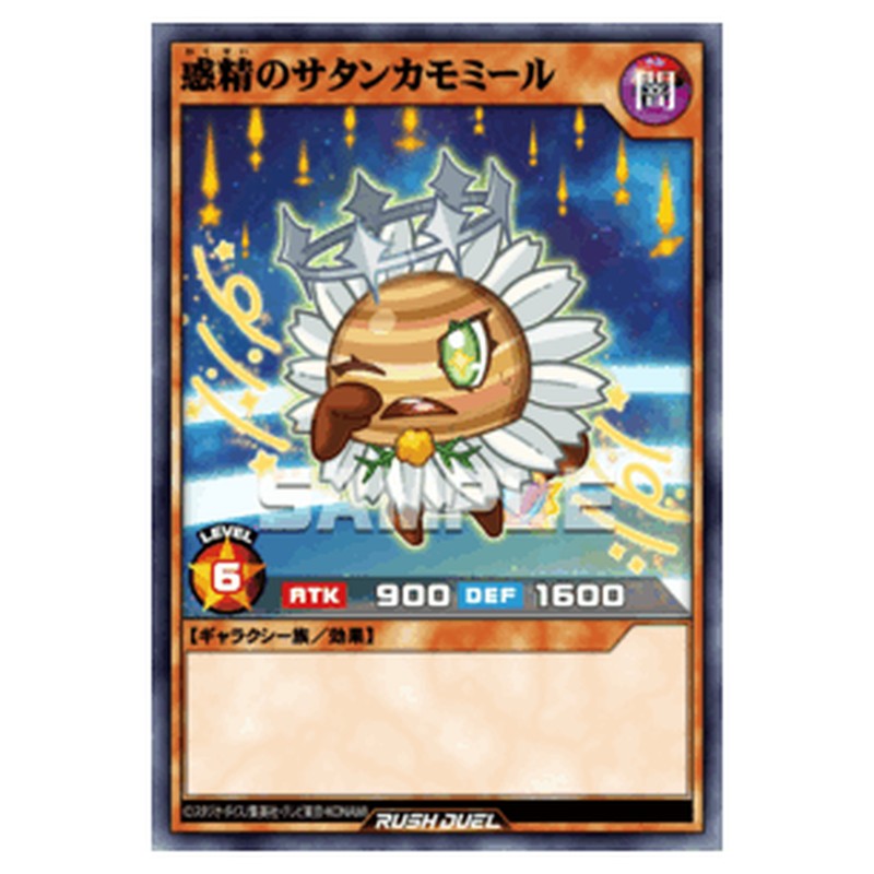 惑精のサタンカモミール