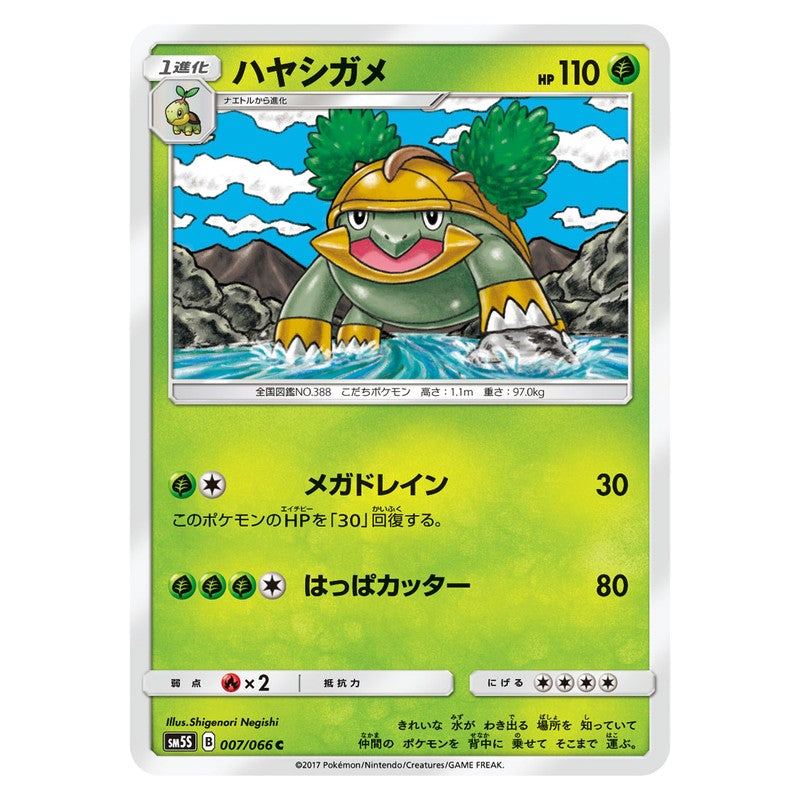 ハヤシガメ