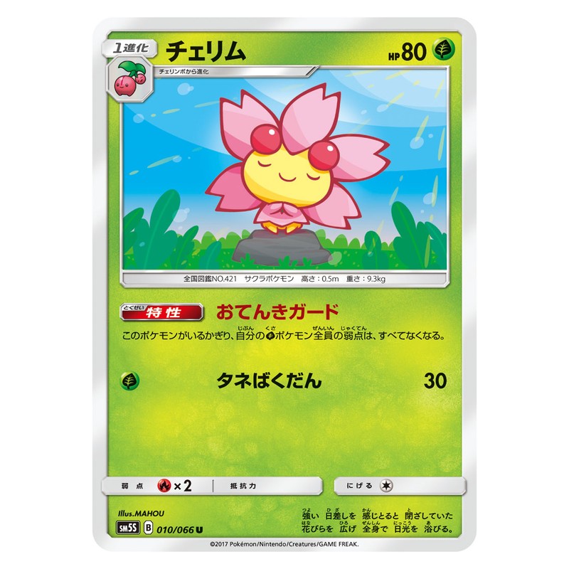 チェリム
