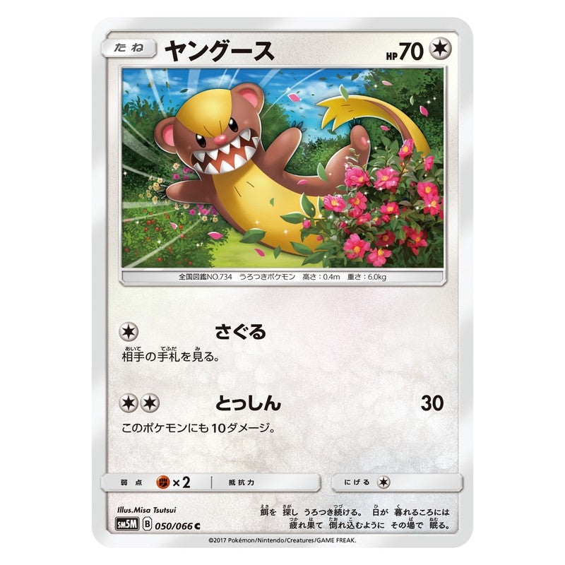 ヤングース