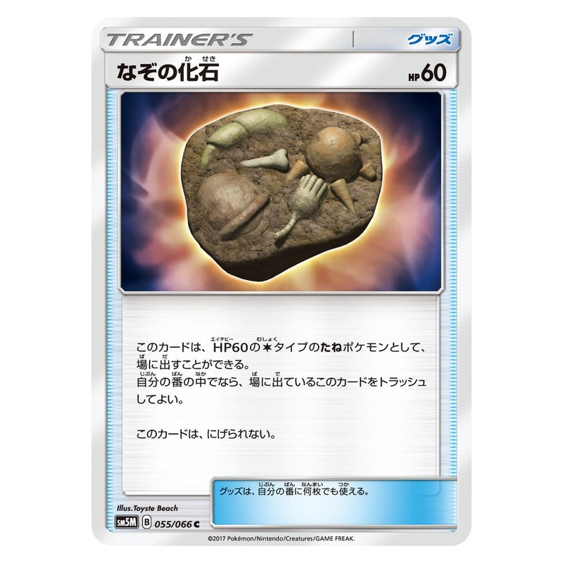 なぞの化石