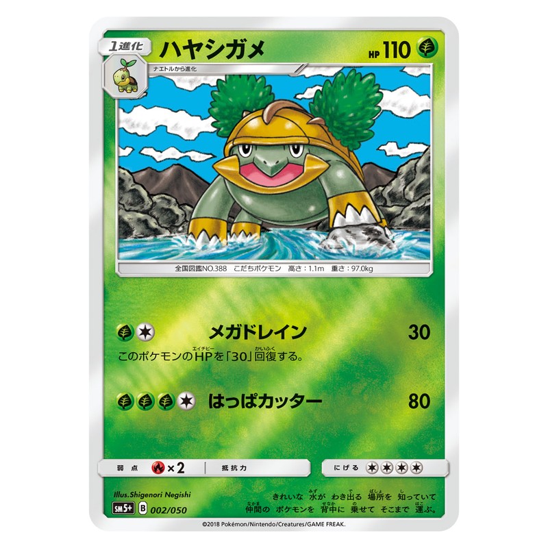ハヤシガメ