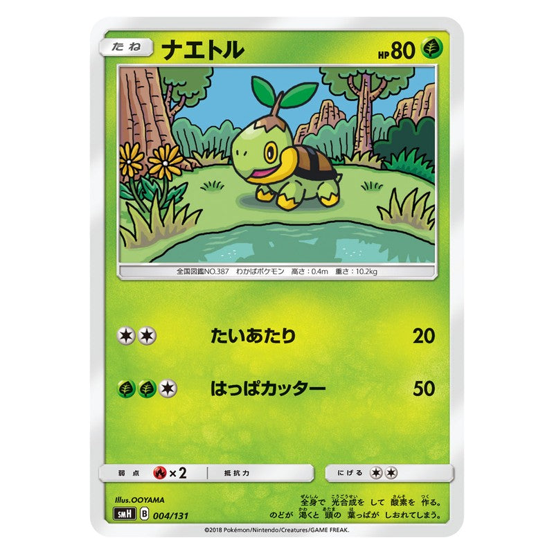 ナエトル