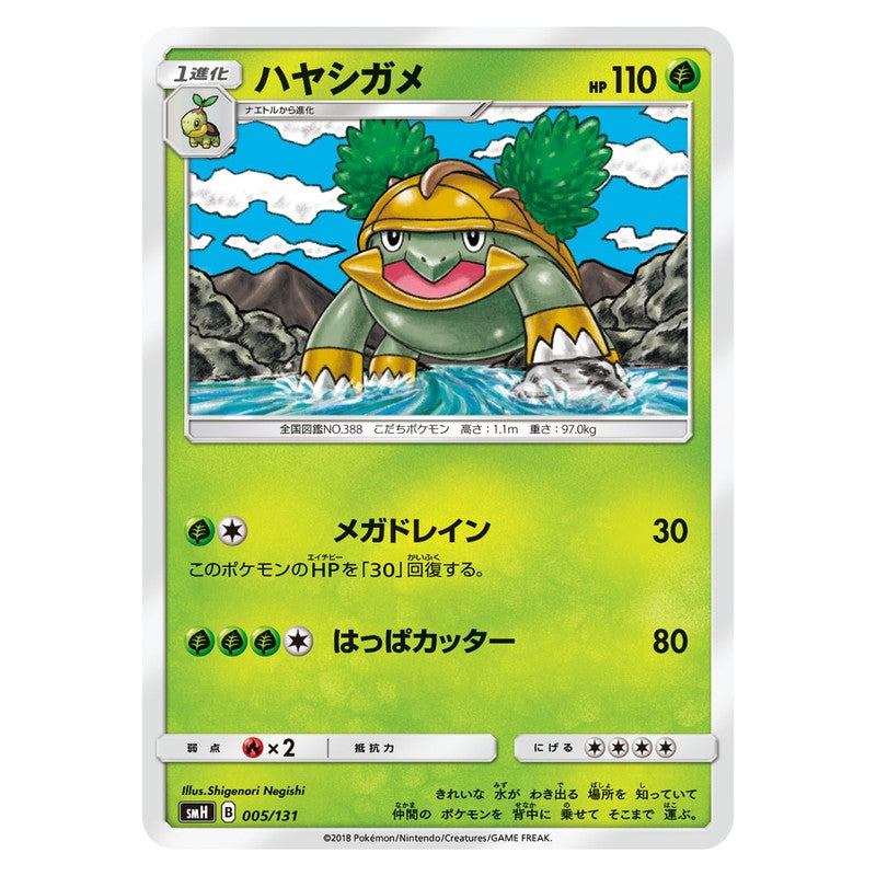 ハヤシガメ